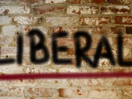 eksperti dhe liberalizmi