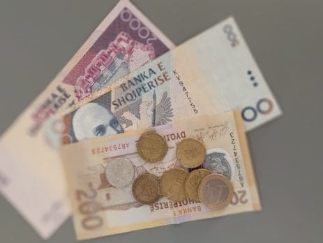 zhvleresimi Euros